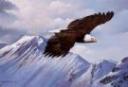 flying-eagle-muontain.jpg